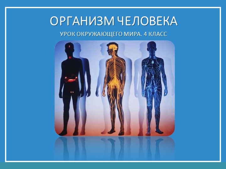 Презентация на тему "Организм человека" - Скачать школьные презентации PowerPoint бесплатно | Портал бесплатных презентаций school-present.com